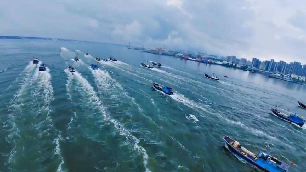 邂逅中华白海豚！探寻湛江海洋生态发展“密码”