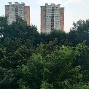 老阴、老阳、少阴、少阳：必须厘清的阴阳概念