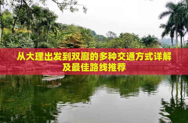 从大理出发到双廊的多种交通方式详解及更佳路线推荐