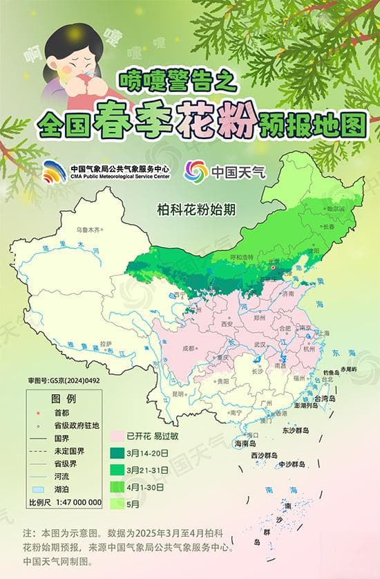 春风十里不讲理？这份花粉过敏防护指南请收好