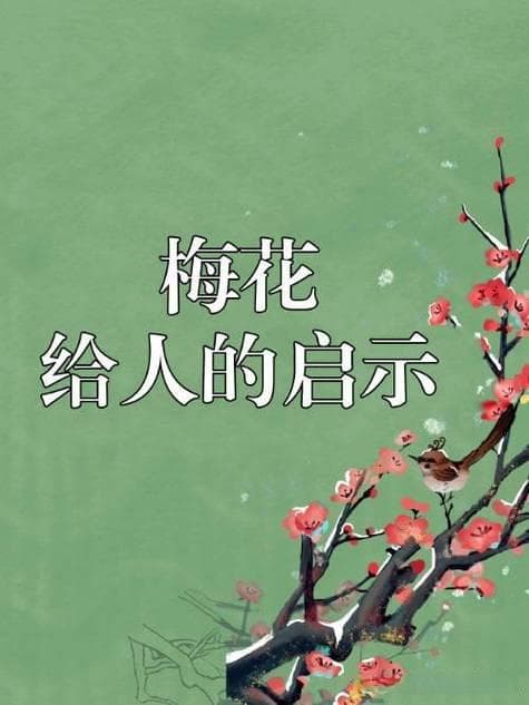 从梅花身上获得哪些启示？别只赏梅花！梅花默默教会你的人生哲理!