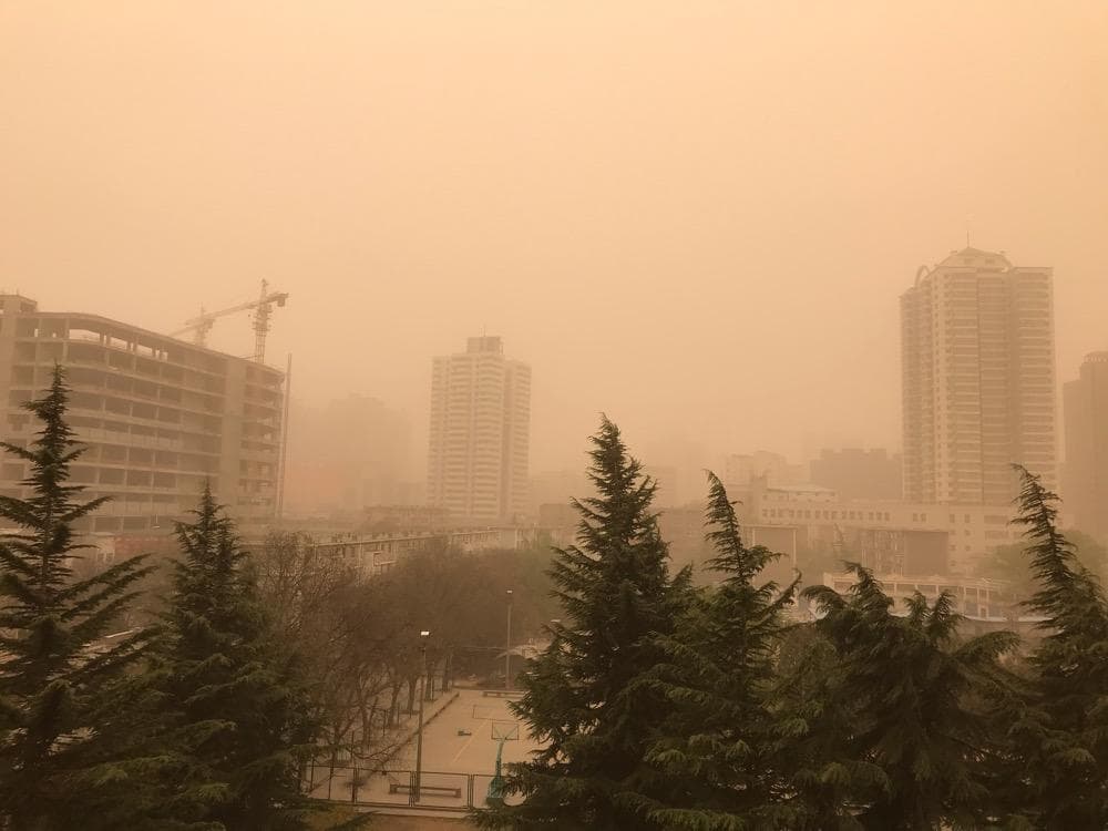 研究表明近几十年蒙古向中国跨境沙尘暴事件增加