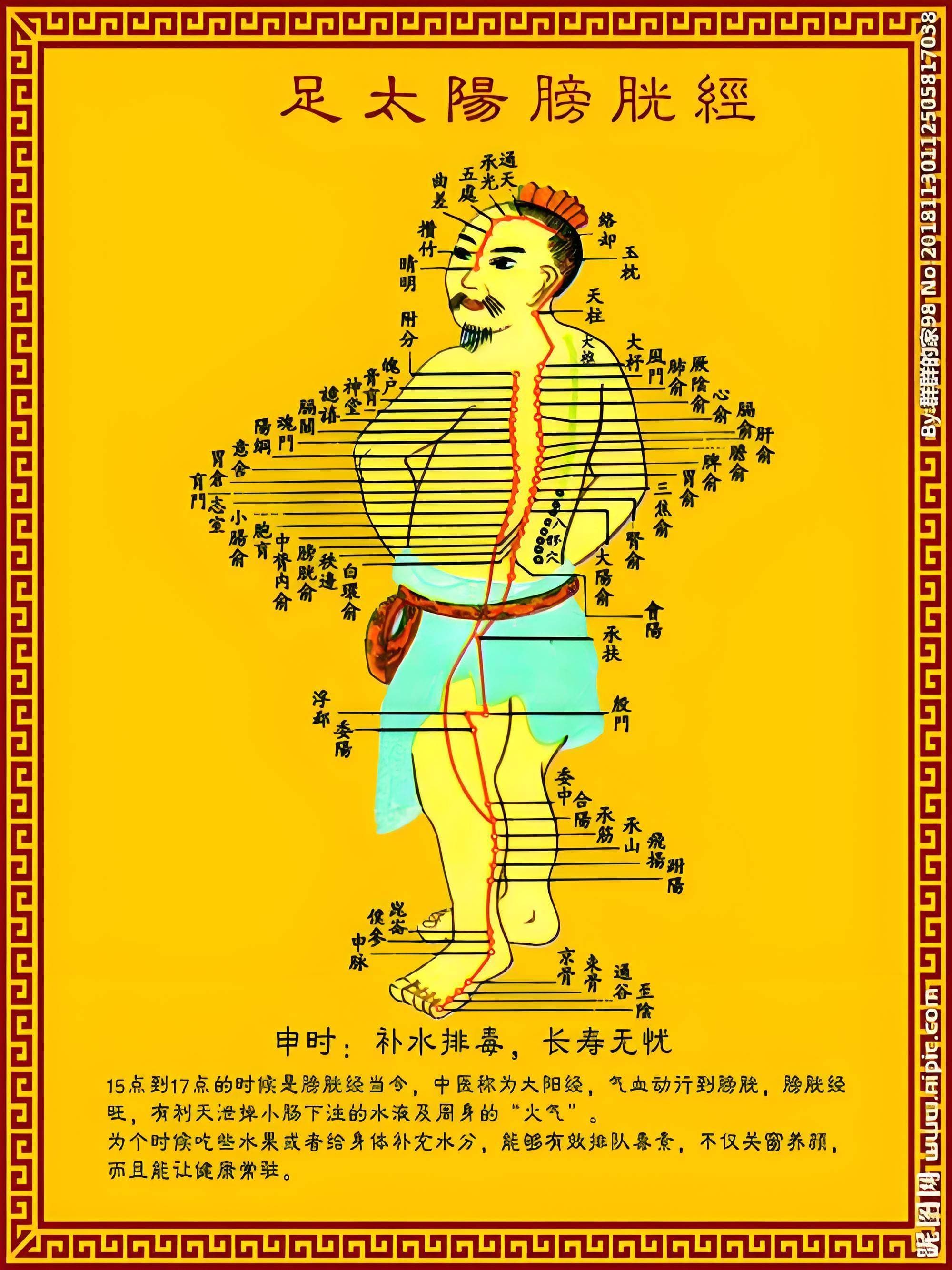 重读伤寒论第1条：解析太阳病提纲病情及思考心得
