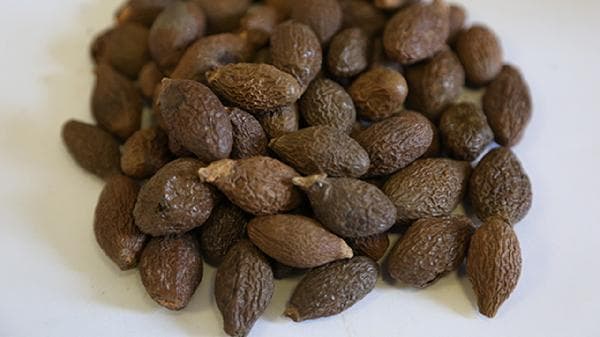 中药泽泻的功效与食用方法