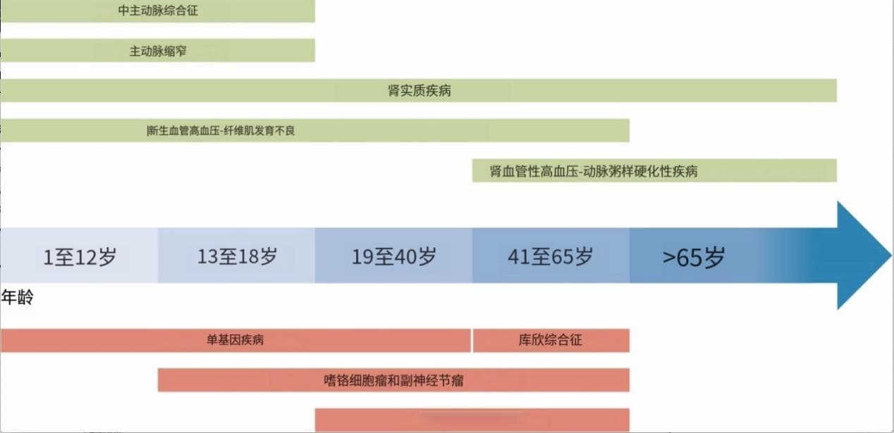 继发性高血压不同年龄人群及筛查重点