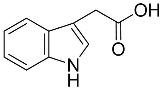 吲哚-3-乙酸：植物生长的关键激素