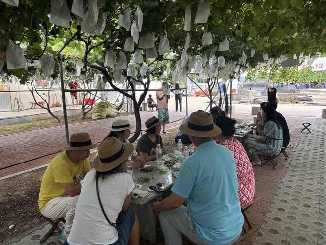 青岛平度市：一串葡萄的产业旅程