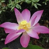 消防排烟口的工作状态与安装位置