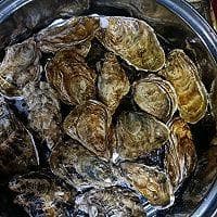 清蒸生蚝：低脂美味，老少皆宜的营养佳肴