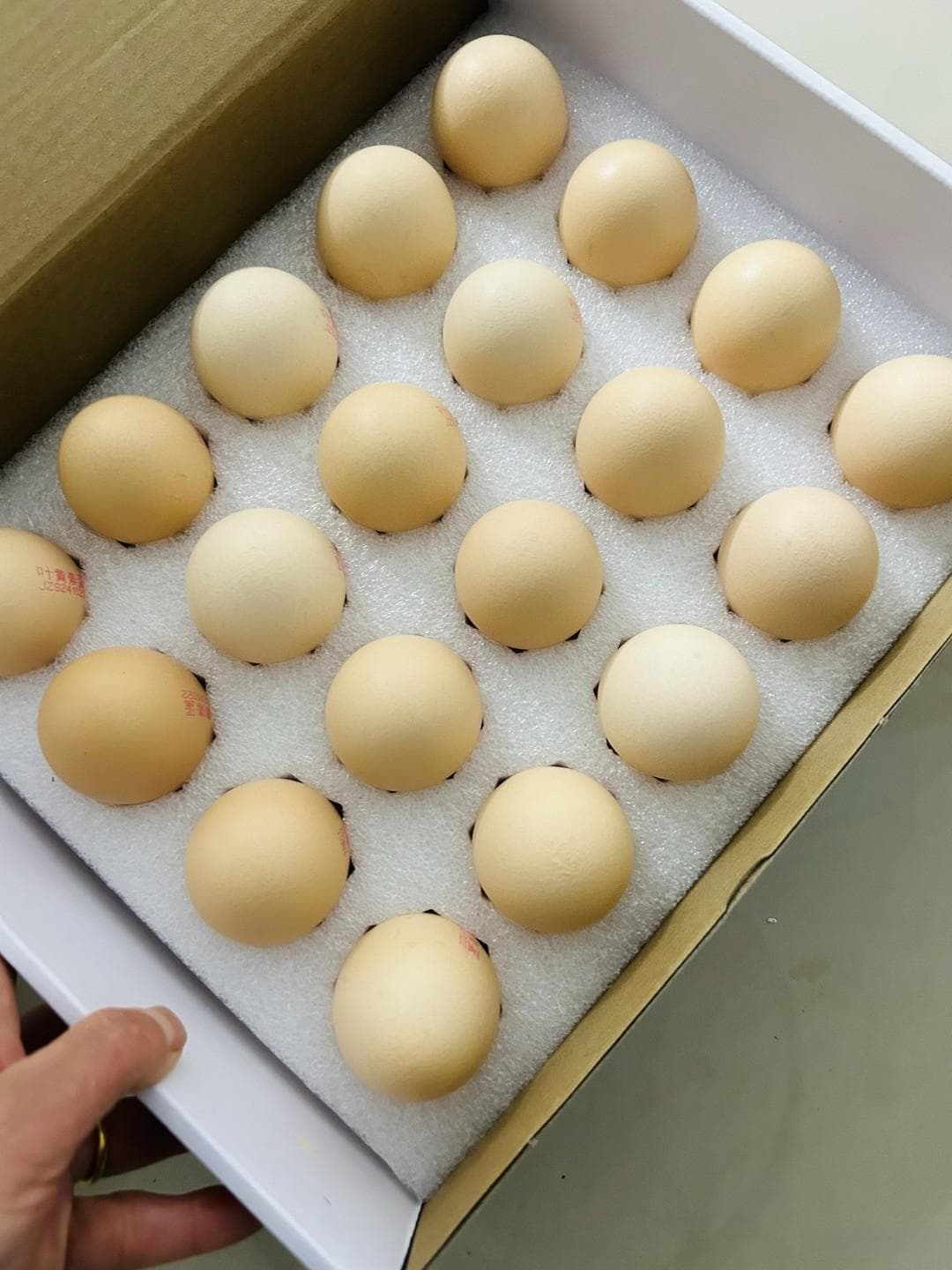 认证加持，安全无忧：解密可生食鲜鸡蛋的品质密码