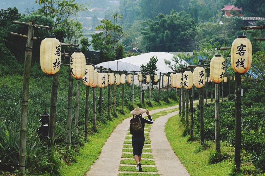 心学问青少年教育，孤独的解药：帮助孩子克服社交恐惧