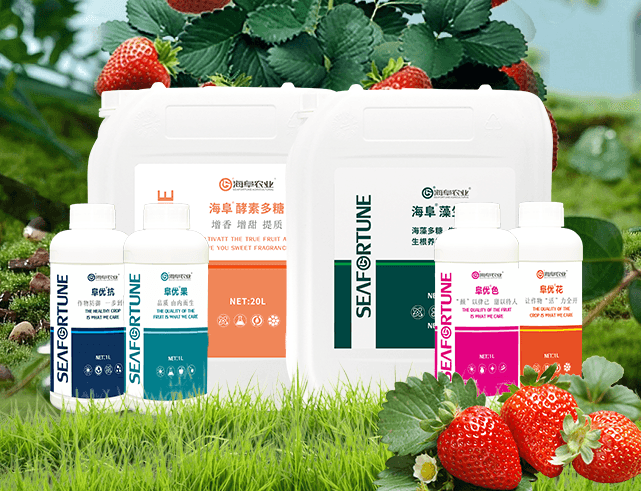 草莓用什么土种植最好 草莓种植的最佳土壤类型
