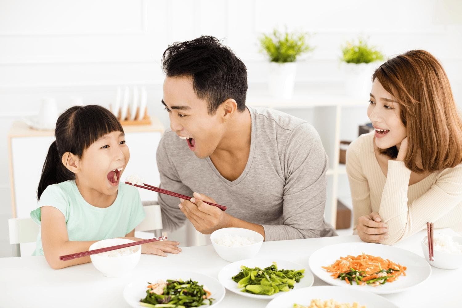 原来，小肠才是人体消化吸收的主战场！