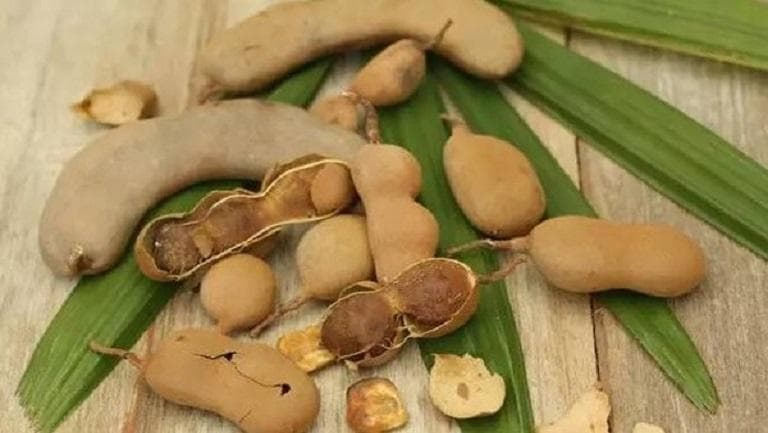 罗望子果的功效与作用、禁忌和食用方法