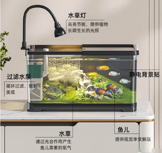 如何打造一个健康的观赏鱼水族箱？——水质调节技巧全解析