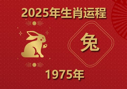 1975年属兔人2025年全年运势(今年多大)