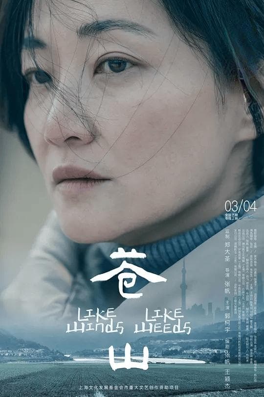 2025年3月电影资讯：多部新片即将上映，经典重映值得期待