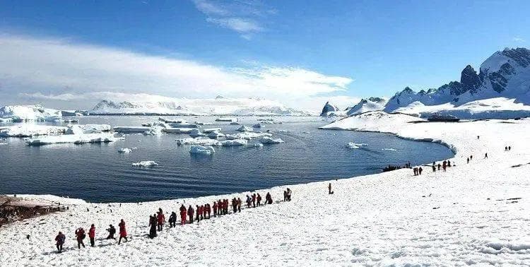 冰天雪地中的生存奇迹！揭秘北极冬季的苦寒世界