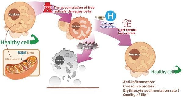 氢气补充剂对抗微炎症：一项观察性临床研究