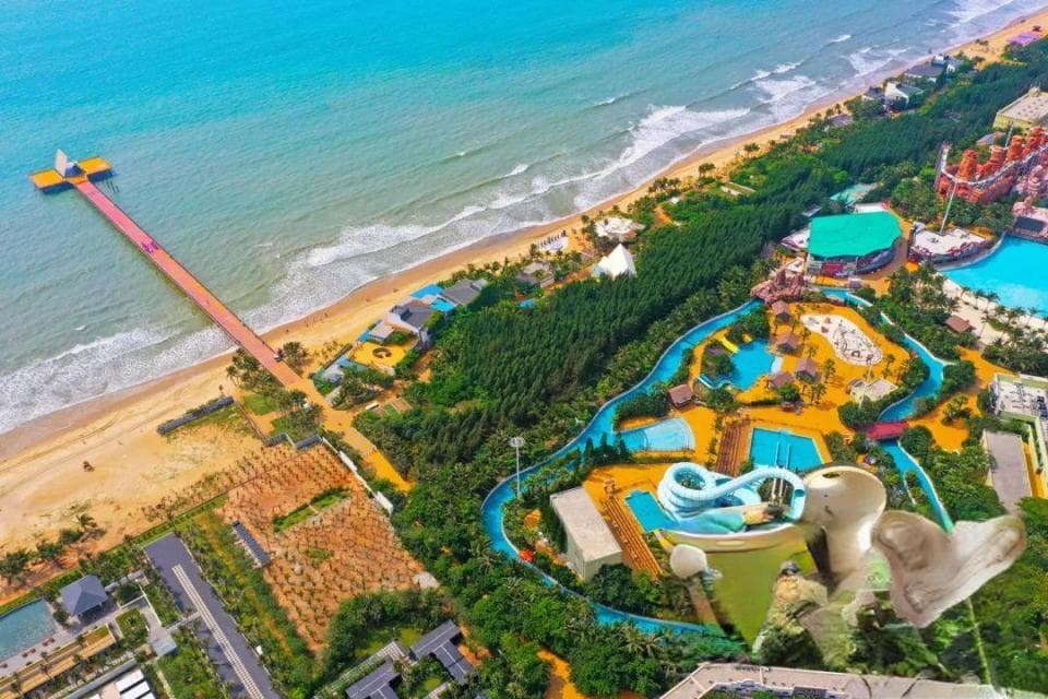 为何要在湛江旅居过冬？来听"候鸟"怎么说