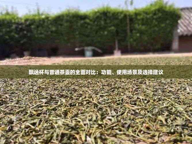 飘逸杯与普通茶壶的全面对比：功能、使用场景及选择建议