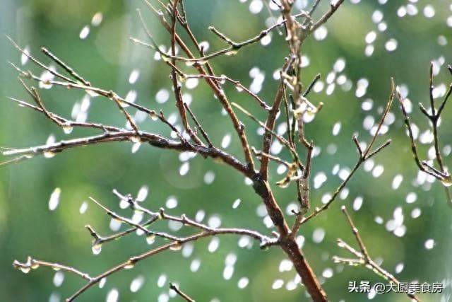 倒春寒来不来，科学预测更重要