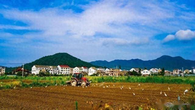 农村土地流转，是好是坏？