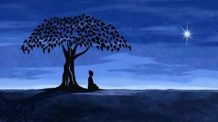 《悉达多》：在生活的泥泞中找到自己