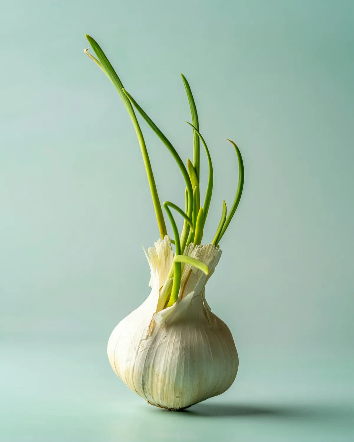 科技赋能大蒜种植：从化学防治到绿色智能