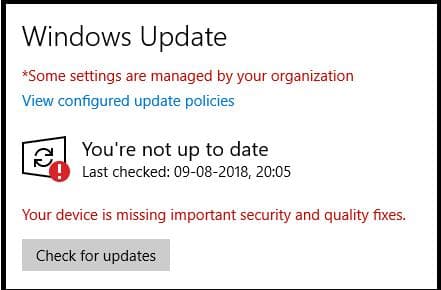 修复 Minecraft 在 Windows 11 上无响应（2025 年更新）