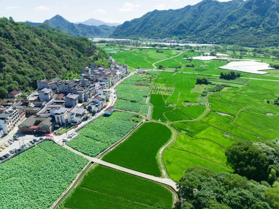 129个大中型灌区项目，提速！