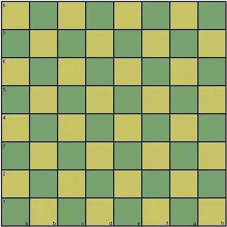 国际象棋入门：从棋盘到实战的全面指南