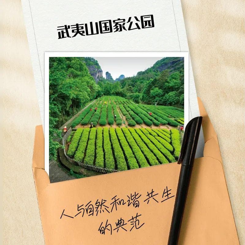 武夷山国家公园：人与自然和谐共生的典范