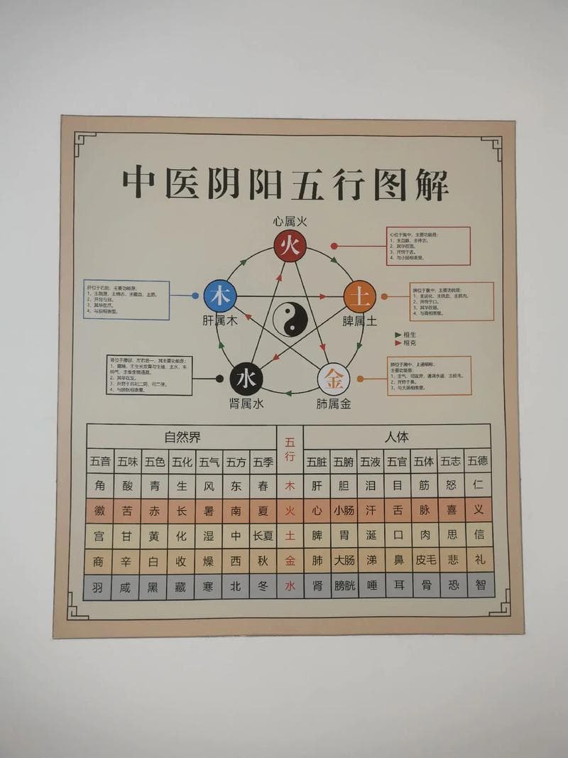 阴阳五行：揭示万物生成与变化的哲学核心