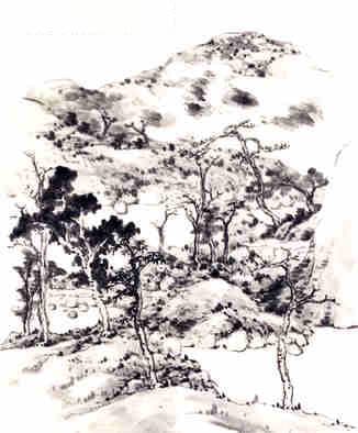 天风姤卦详解：从卦辞到运势预测