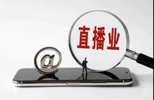 直播IP形象塑造：驱动流量与变现的策略深度解析