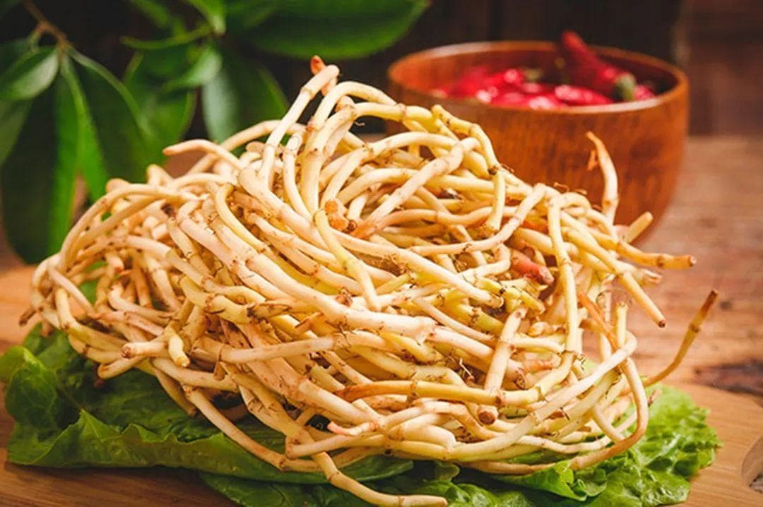 美味鱼腥草