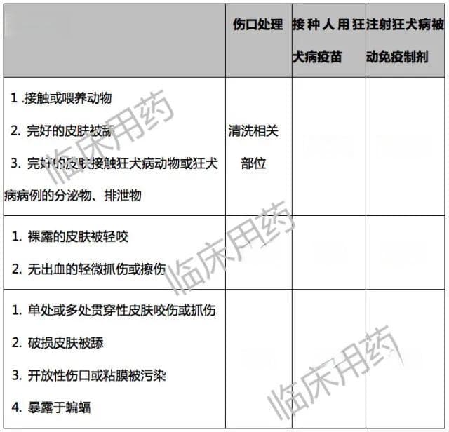 被动物咬伤要打狂犬疫苗？看完这 6 点再决定