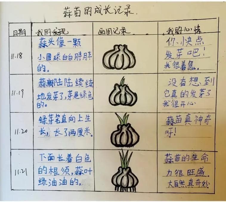 如何写植物的观察记录？轻松记录植物魔法——植物观察记录写作指南！