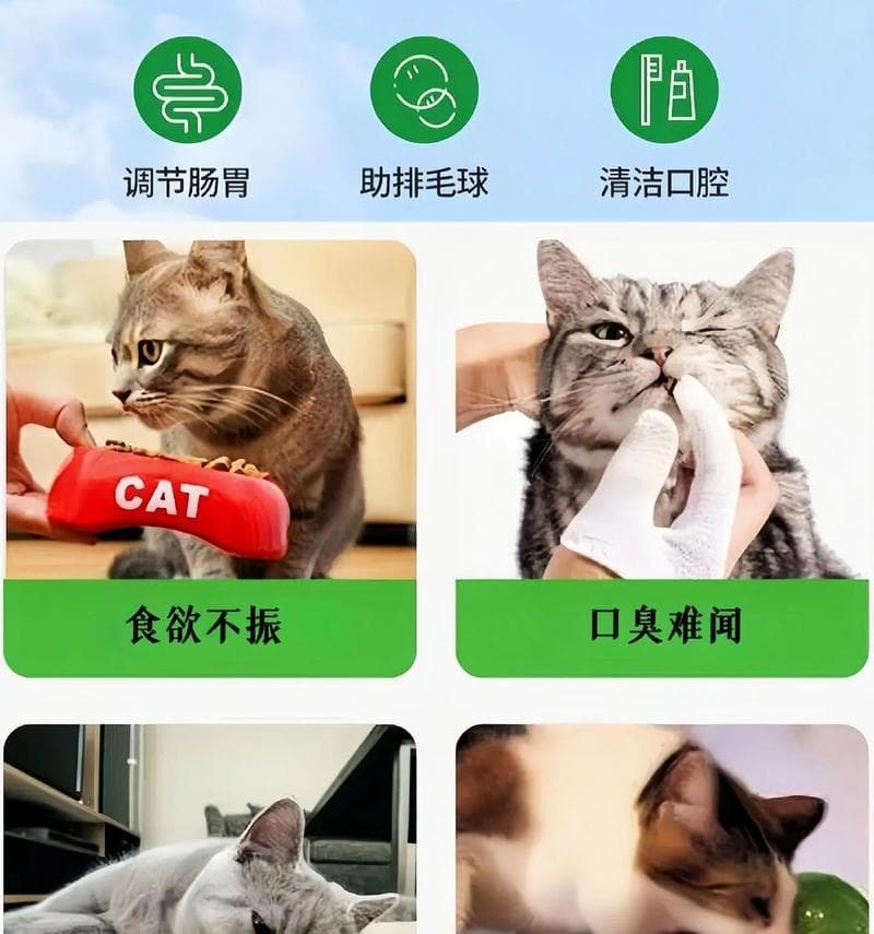 猫草的益处（了解猫草对猫咪的益处以及它们的食用习惯）