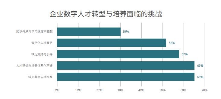 深度解读《2024数字人才白皮书》：透视数字人才困境与解决之道