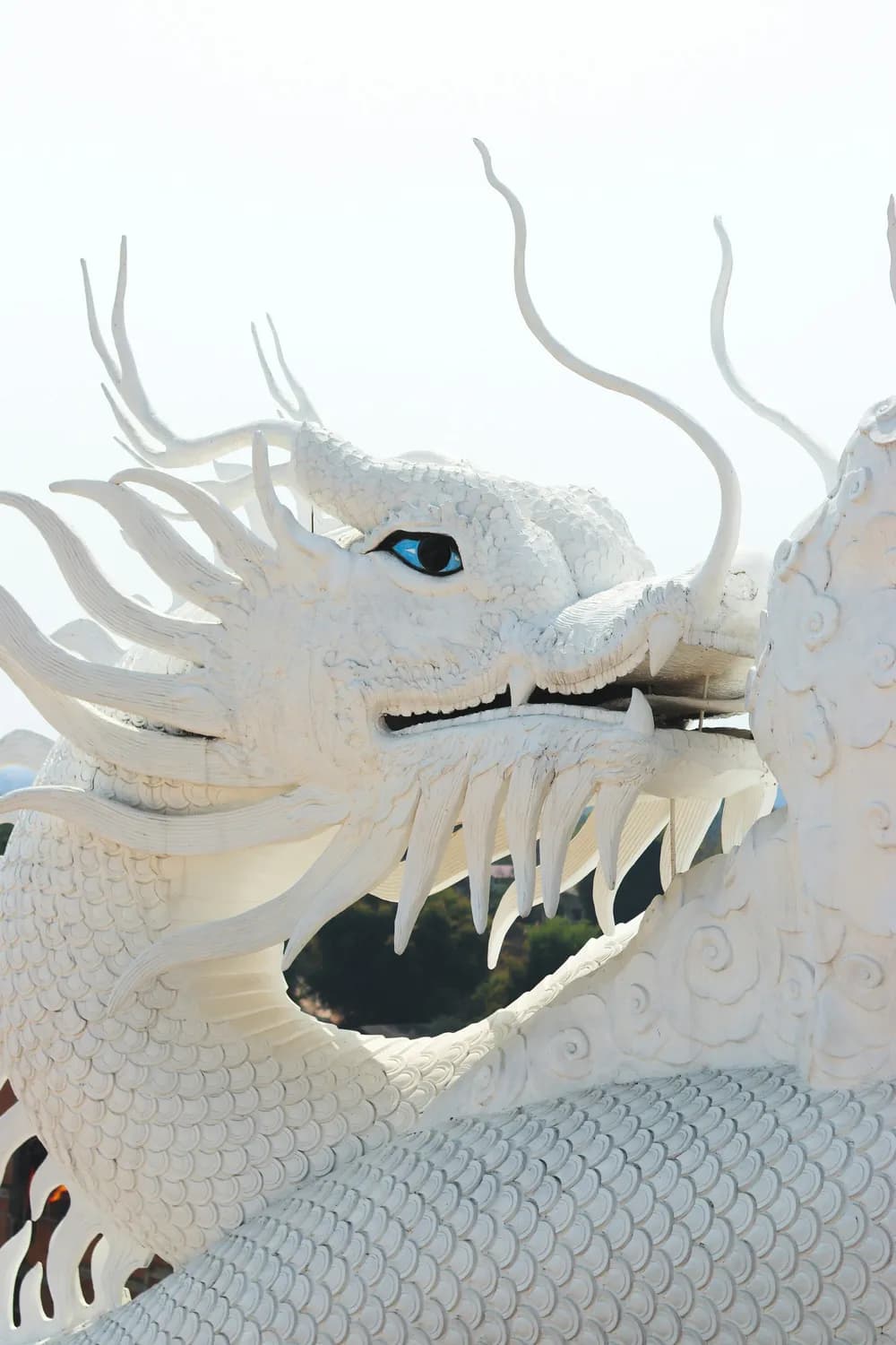 小白龙的逆袭之路：从龙王太子到护法神