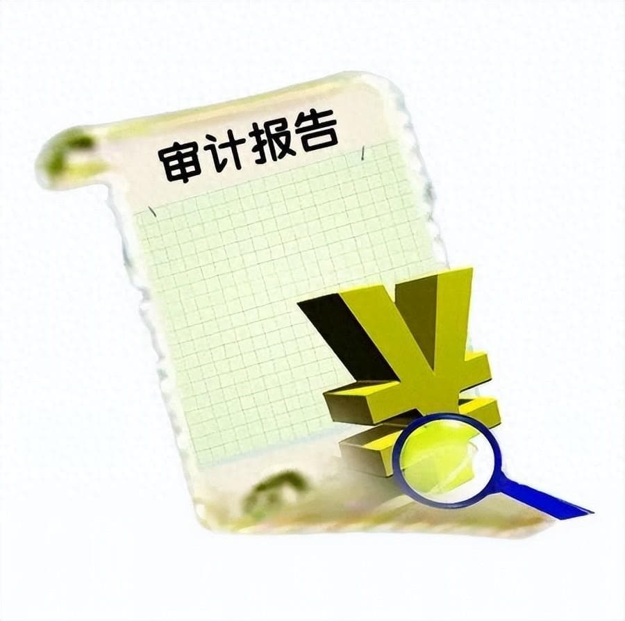 一人有限公司中，股东仅提供自己的审计报告能否证明其财产独立性？