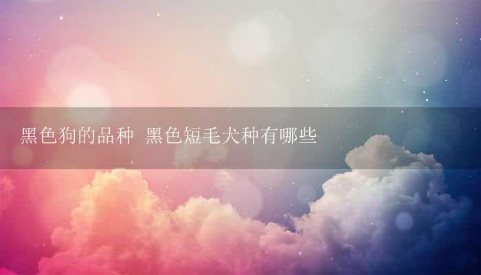 黑色狗的品种：从大型到小型的纯黑犬种大盘点