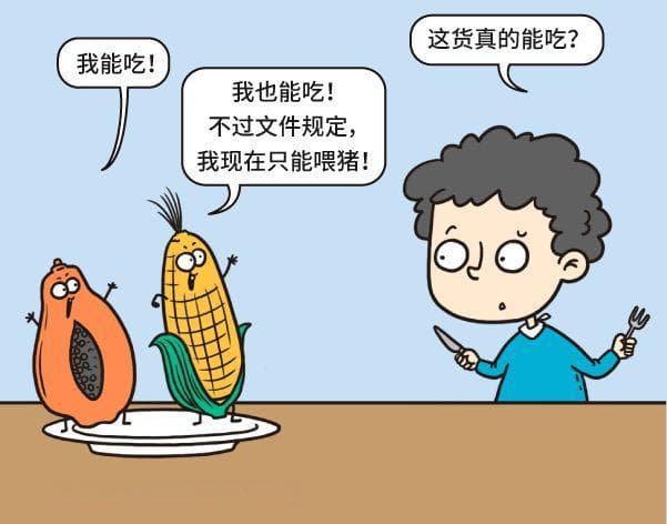 转基因食物的安全评估流程，堪称人类历史上最严的安全确认方式