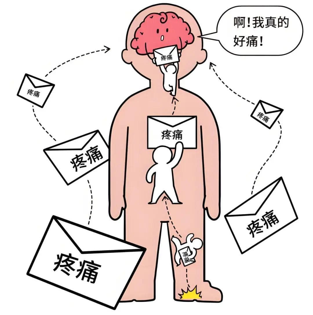 世界镇痛日：手术结束了，伤口为什么还一直疼？