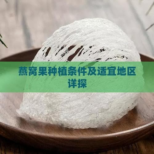 燕窝果种植条件及适宜地区详探