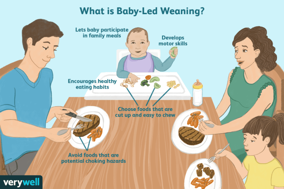 育儿圈很火的BLW（自主进食）我应该跟风吗？合适吗？