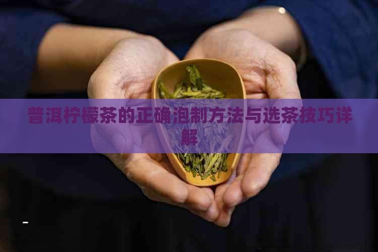 普洱柠檬茶的正确泡制方法与选茶技巧详解