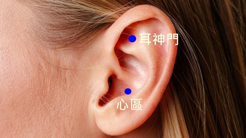 睡不著真磨人！醫曝從耳朵著力 5穴位有助找回睡眠品質